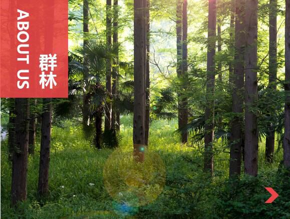 什么叫刨花板？